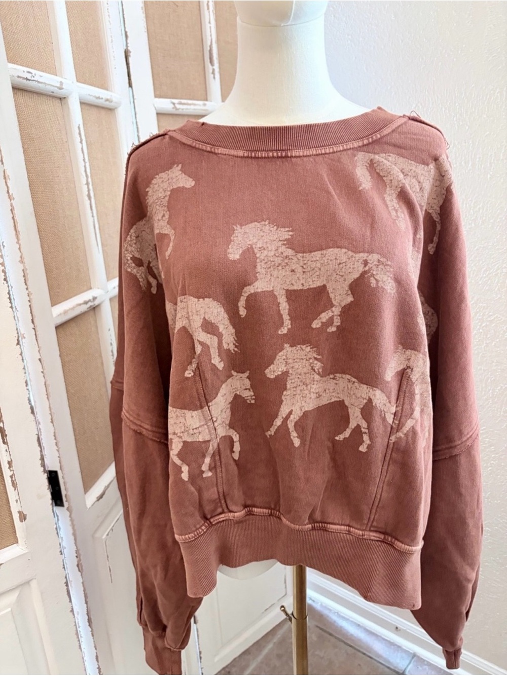 Free People Gaia Slouchy Wild Horses Sweatshirt XL Oversized NWT - Picture 1 of 10